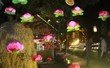 Ngắm Hồ Văn lung linh trong đêm